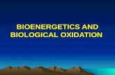 Bioenergetics and Biological oxidation final