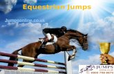 Equestrian jumps