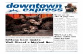 August 14, 2009 Downtown Express