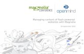 Managing Content of Flash-powered Websites with Magnolia