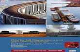ECSEI Dry Bulk Shipping Industry Report 2009