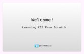 Learn CSS From Scratch
