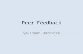 Peer feedback(1)