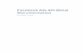 Face Book Ads API