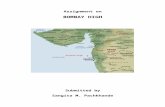 Bombay Offshore Basin