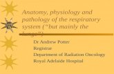 Anatomy, Physiology and Pathology of the Respiratory