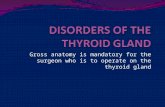 Powerpoint : disorders of the thyroid gland