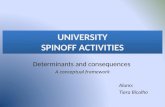 ImpressãO Spin Off Determinants Ans Consequences
