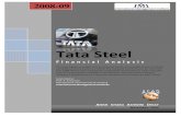 Tata Steel Financial Report