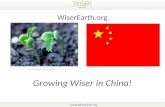 Growing Wiser in China