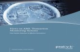 Views on AML Transaction Monitoring Systems