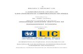 Project on LIC India