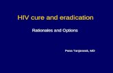 Topic review HIV eradication