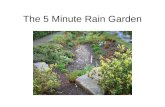 5 Minute Rain Garden Lesson Plan