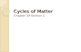 Cycles of Matter Ch 19.1