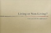 Living Things and Non-Living Things