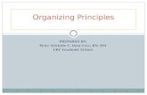 Organizing Principles 2