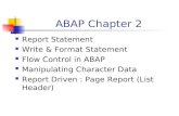 ABAP Report Statement