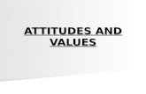 8 Attitudes & Values