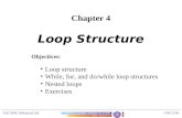 Loop Structures in C