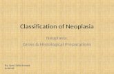 Classification of Neoplasia