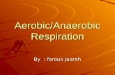 Aerobic anaerobic respiration