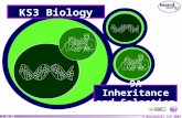 Year 9 Biology Topic Inheritance and Selection