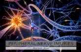 Neuronal injuries