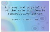 Anatomy and Physiology of the Female Reproductive System