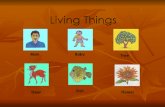Living things & non living things