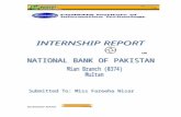 Internship Report Nbp (Final)3