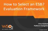 ESB Evaluation Framework