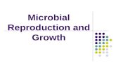 Microbial Reproduction and Growth