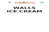 Walls Marketing Plan and Project