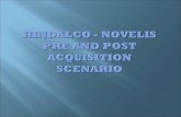 Hindalco Acquisition Ppt