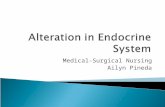 Alteration in Endocrine System