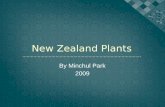 New Zealand Plants Research