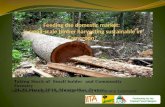 Feeding the domestic market: Is small-scale timber harvesting sustainable in Cameroon?