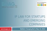 IP Law for Startups and Emerging Companies
