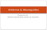 Antenna & Wave Guides