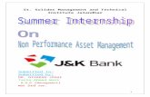 JK Non Performance Assets