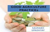 good agricultural practice