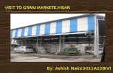 Grain Market,Hisar(Haryana)