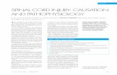 Spinal Cord Injury: Causation & Pathophysiology