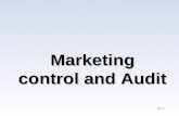 Marketing Control and Audit