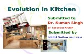 Evolution in Kitchen