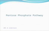 Pentose  Phosphate Pathway by Dr waseem kausar Dated 3.2.10 & 4.2.10