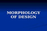 Morphology of Design Phase Vi Today_1 (2)