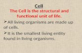 Cell - Fundamental Unit of Life