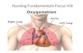 53 a focus 8 oxygenation
